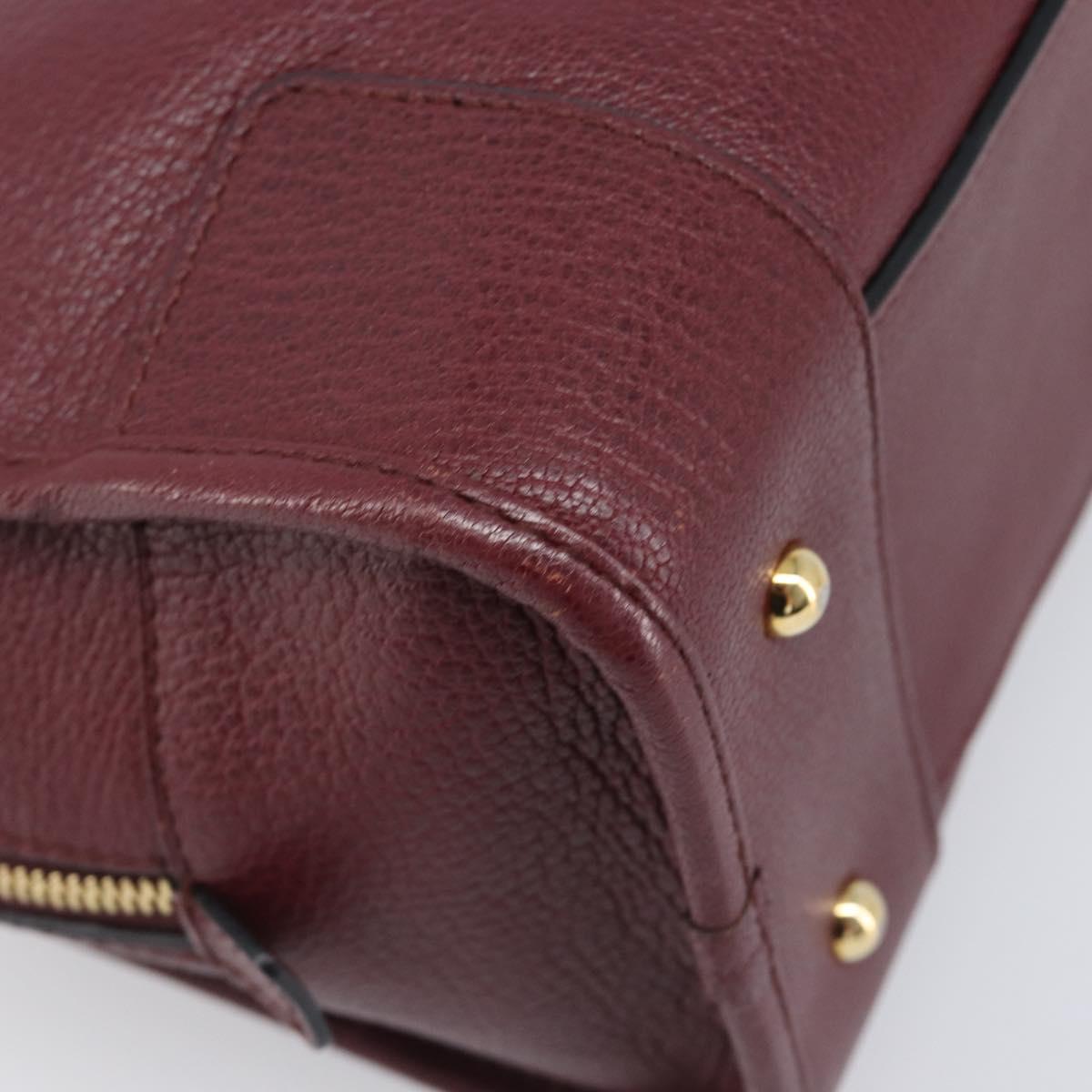 LOEWE Amazona 28 Hand Bag Leather Bordeaux Gold Auth 202297V