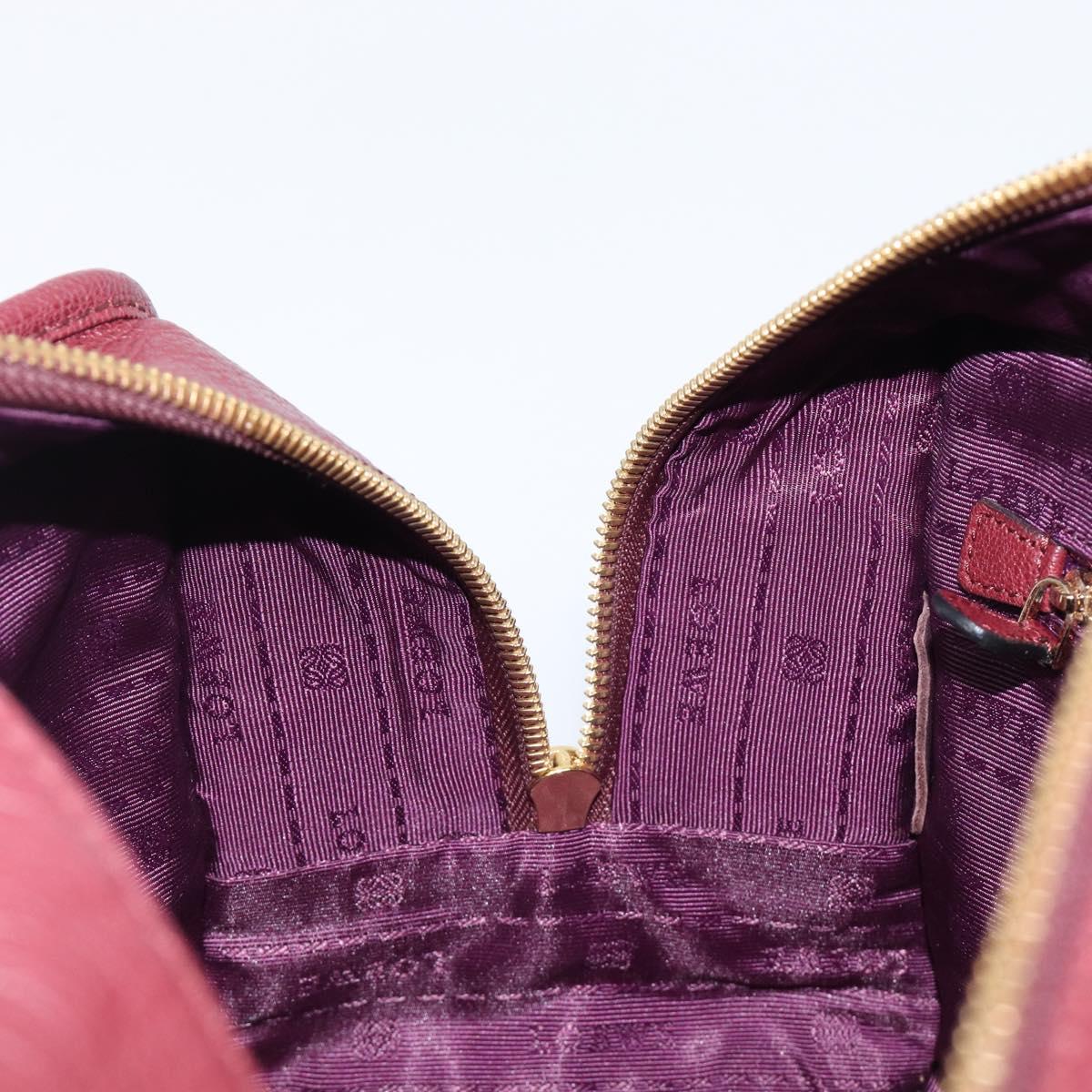 LOEWE Amazona 28 Hand Bag Leather Bordeaux Gold Auth 202297V