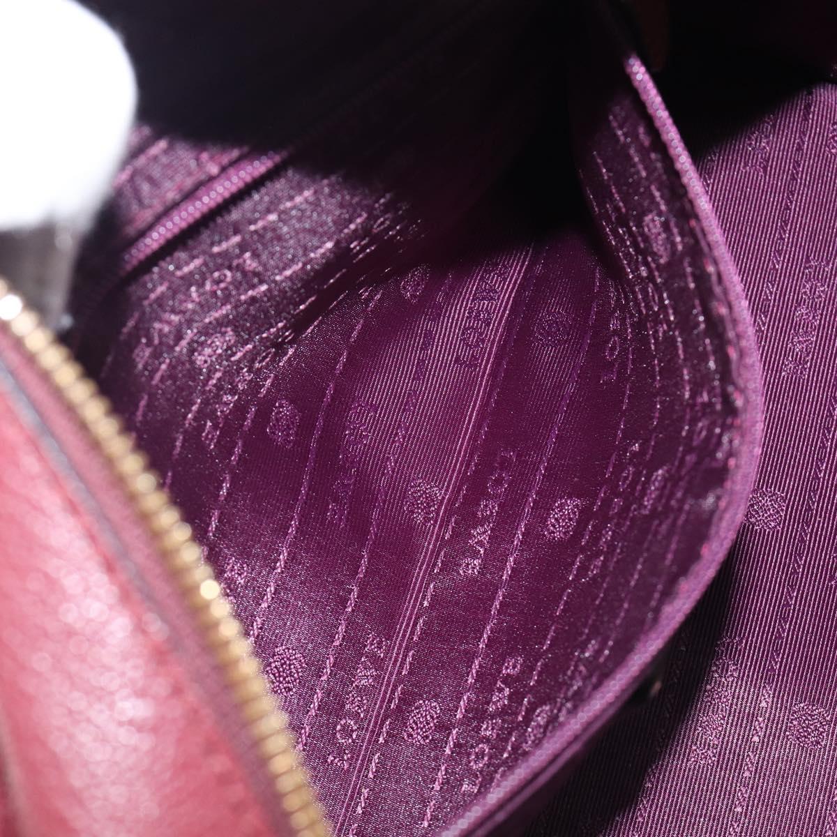 LOEWE Amazona 28 Hand Bag Leather Bordeaux Gold Auth 202297V