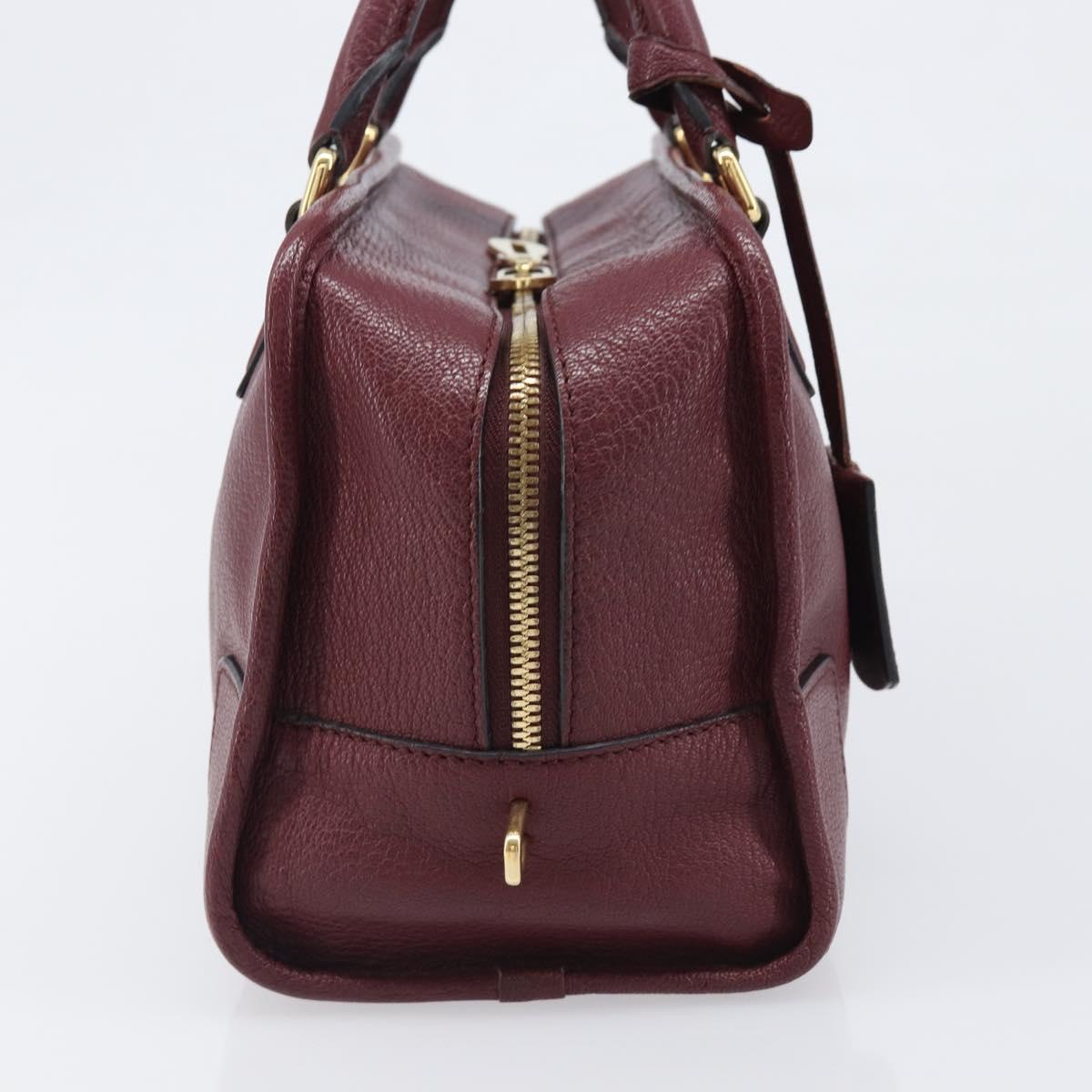 LOEWE Amazona 28 Hand Bag Leather Bordeaux Gold Auth 202297V