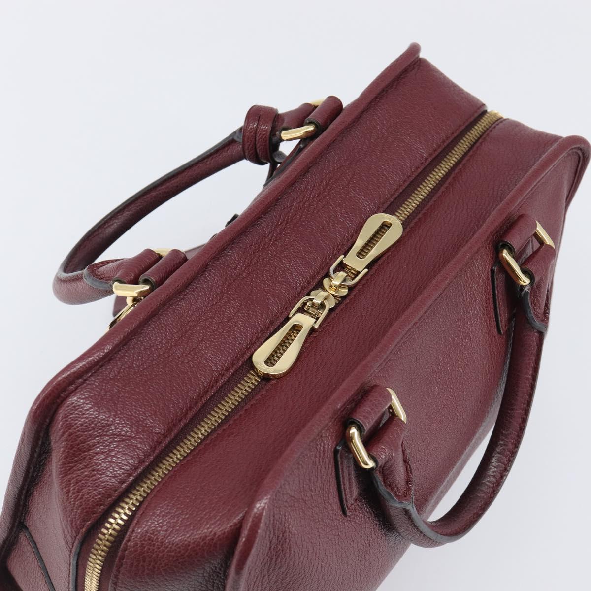LOEWE Amazona 28 Hand Bag Leather Bordeaux Gold Auth 202297V