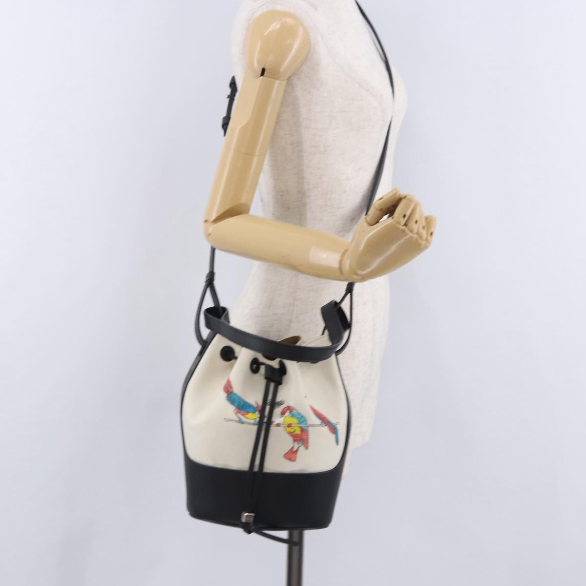 LOEWE Paula's Ibiza Collaboration Bag Canvas 2way Ivory Silver Auth 202301M