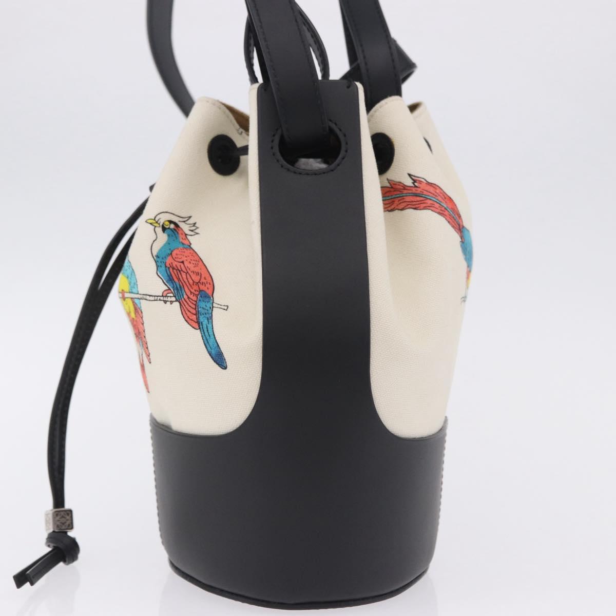 LOEWE Paula's Ibiza Collaboration Bag Canvas 2way Ivory Silver Auth 202301M