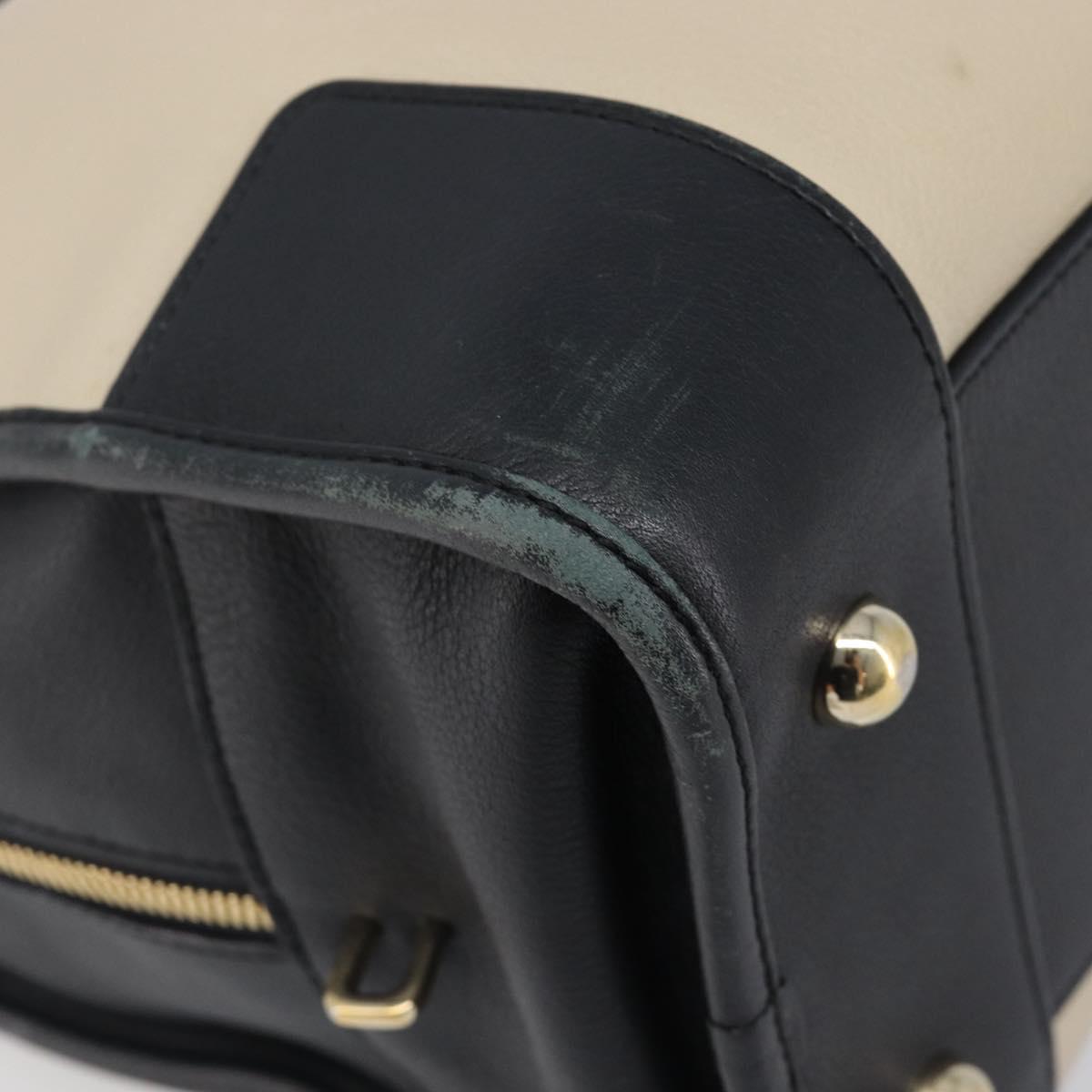 LOEWE Amazona 36 Hand Bag Leather Ivory Gold Tone Auth 202837