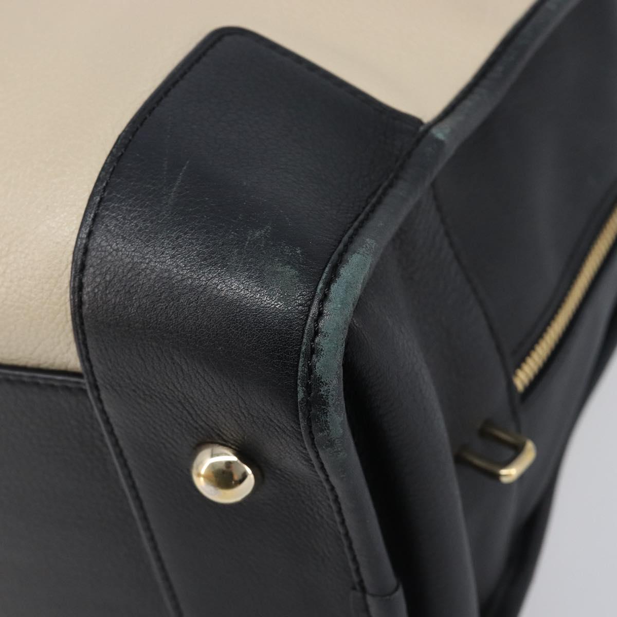 LOEWE Amazona 36 Hand Bag Leather Ivory Gold Tone Auth 202837