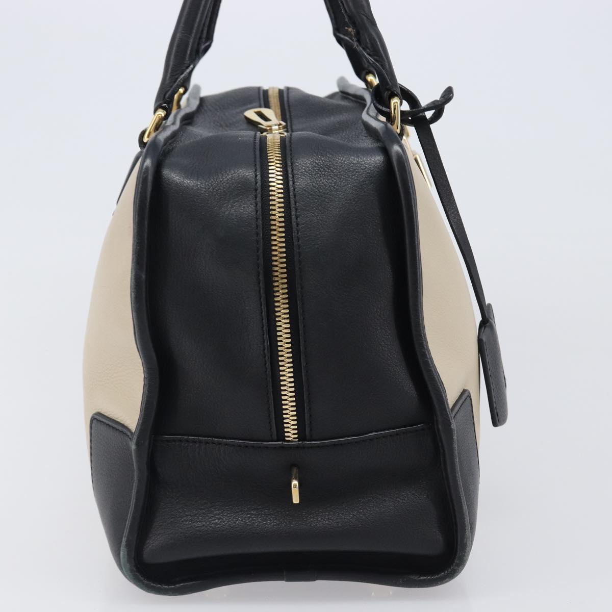 LOEWE Amazona 36 Hand Bag Leather Ivory Gold Tone Auth 202837