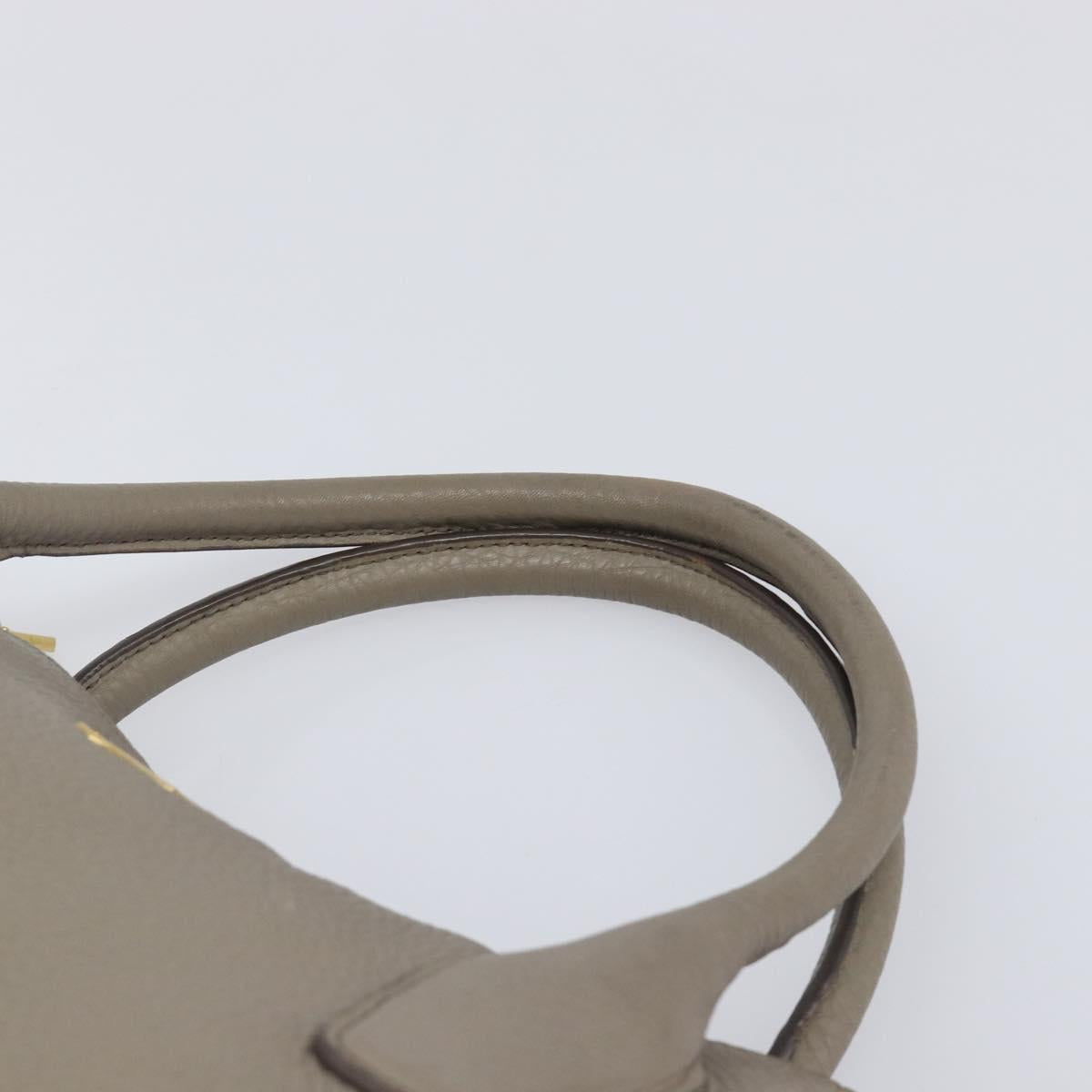 PRADA Hand Bag Vittero Dino Leather 2way Gray Gold Auth 202933V