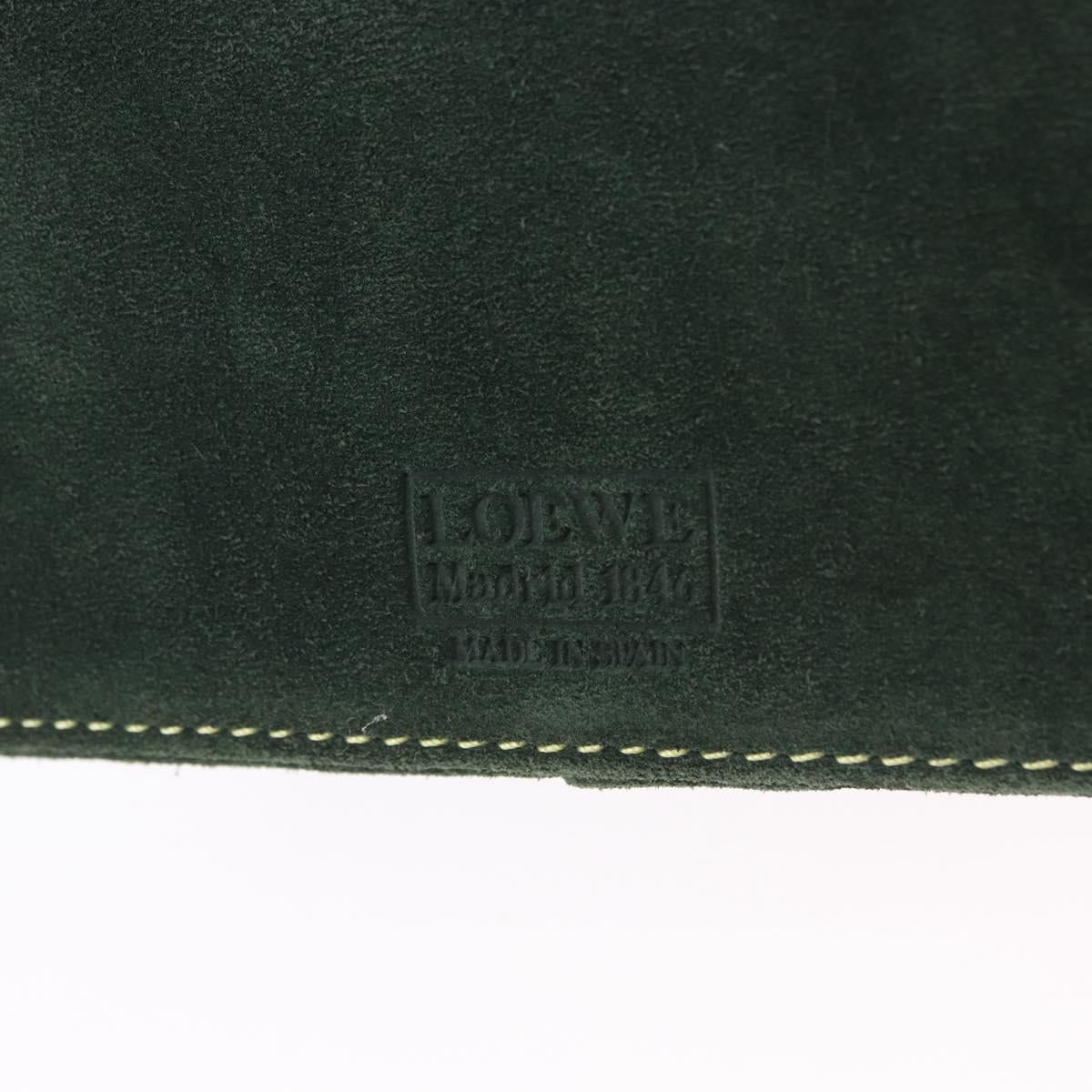 LOEWE Jewelry Pouch Suede Green Gold Auth 203034A