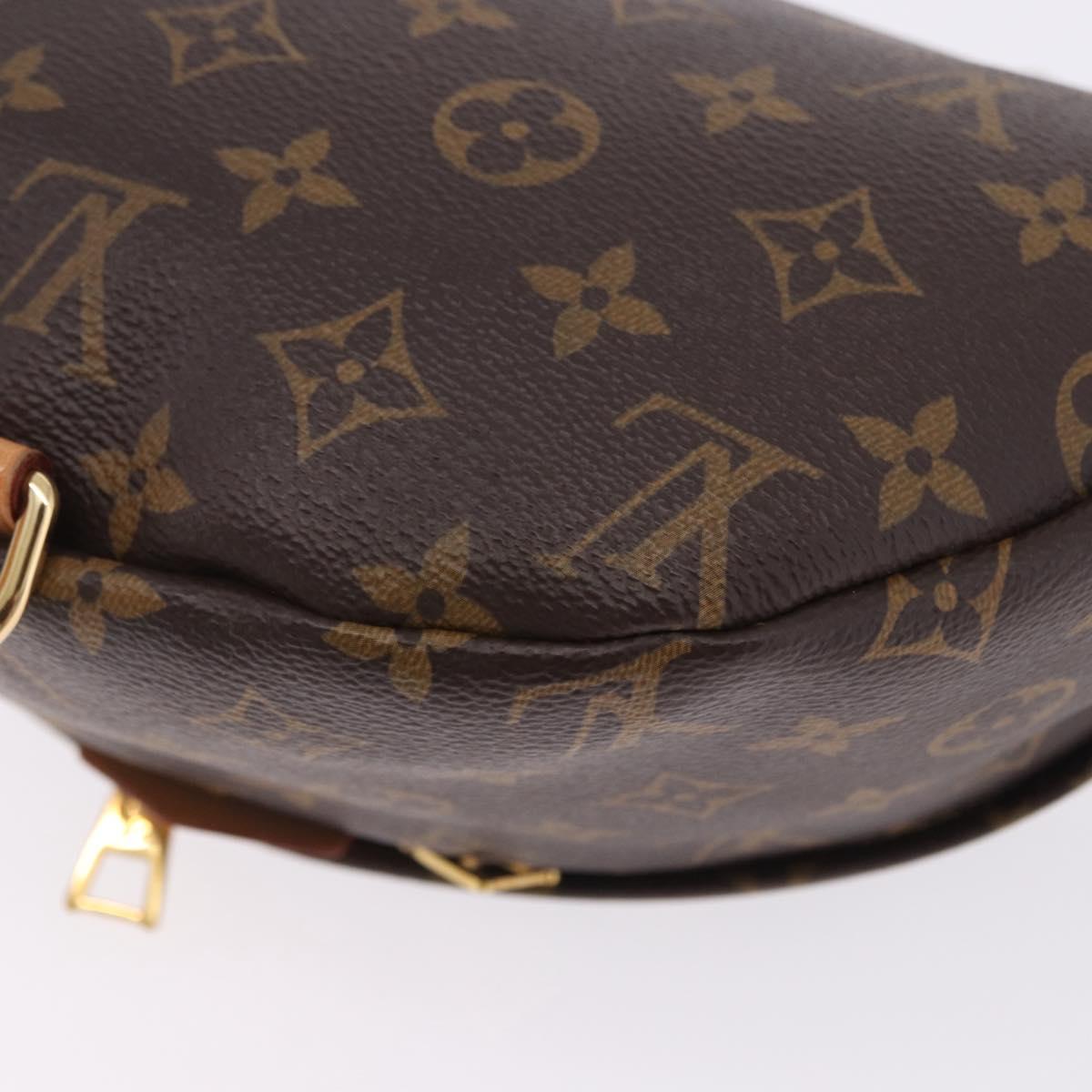 LOUIS VUITTON Monogram Bum Bag Shoulder Bag M43644 LV Auth 203308SAV