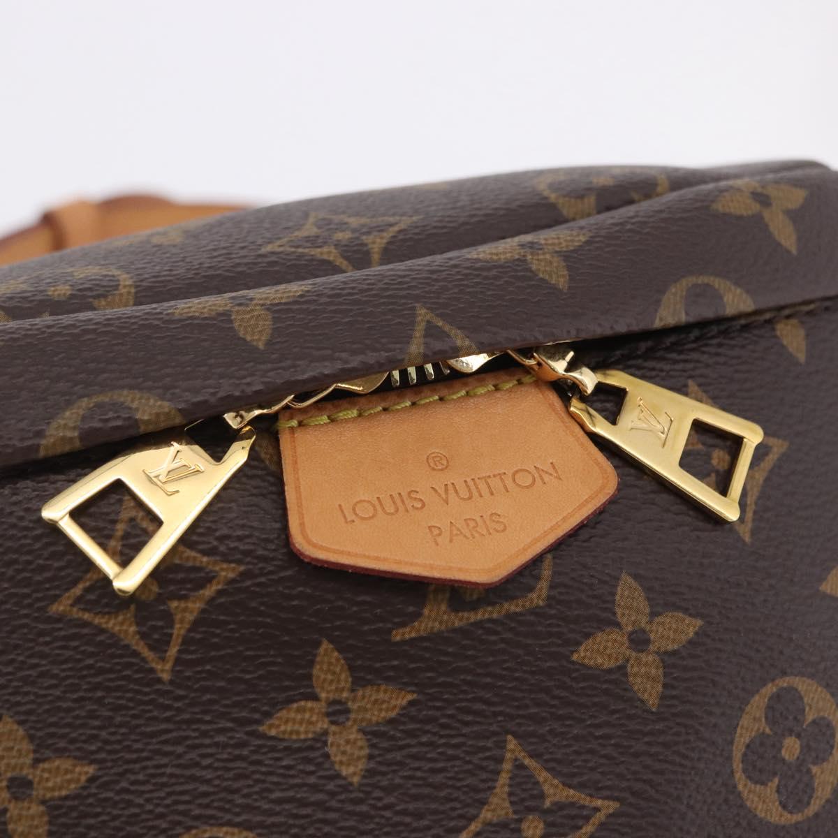 LOUIS VUITTON Monogram Bum Bag Shoulder Bag M43644 LV Auth 203308SAV