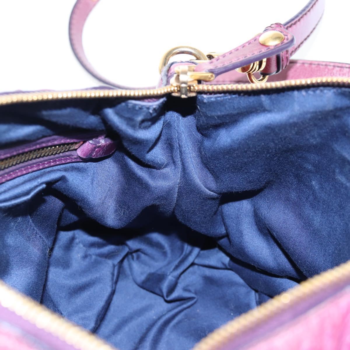 Miu Miu Hand Bag Leather 2way Purple Gold Auth 204521V