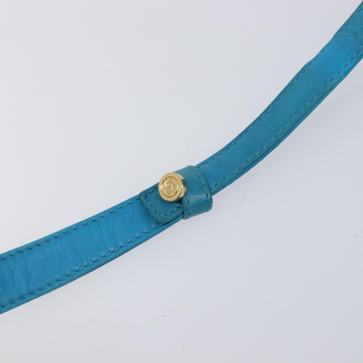 LOEWE Shoulder Bag Leather Light Blue Gold Auth 204760