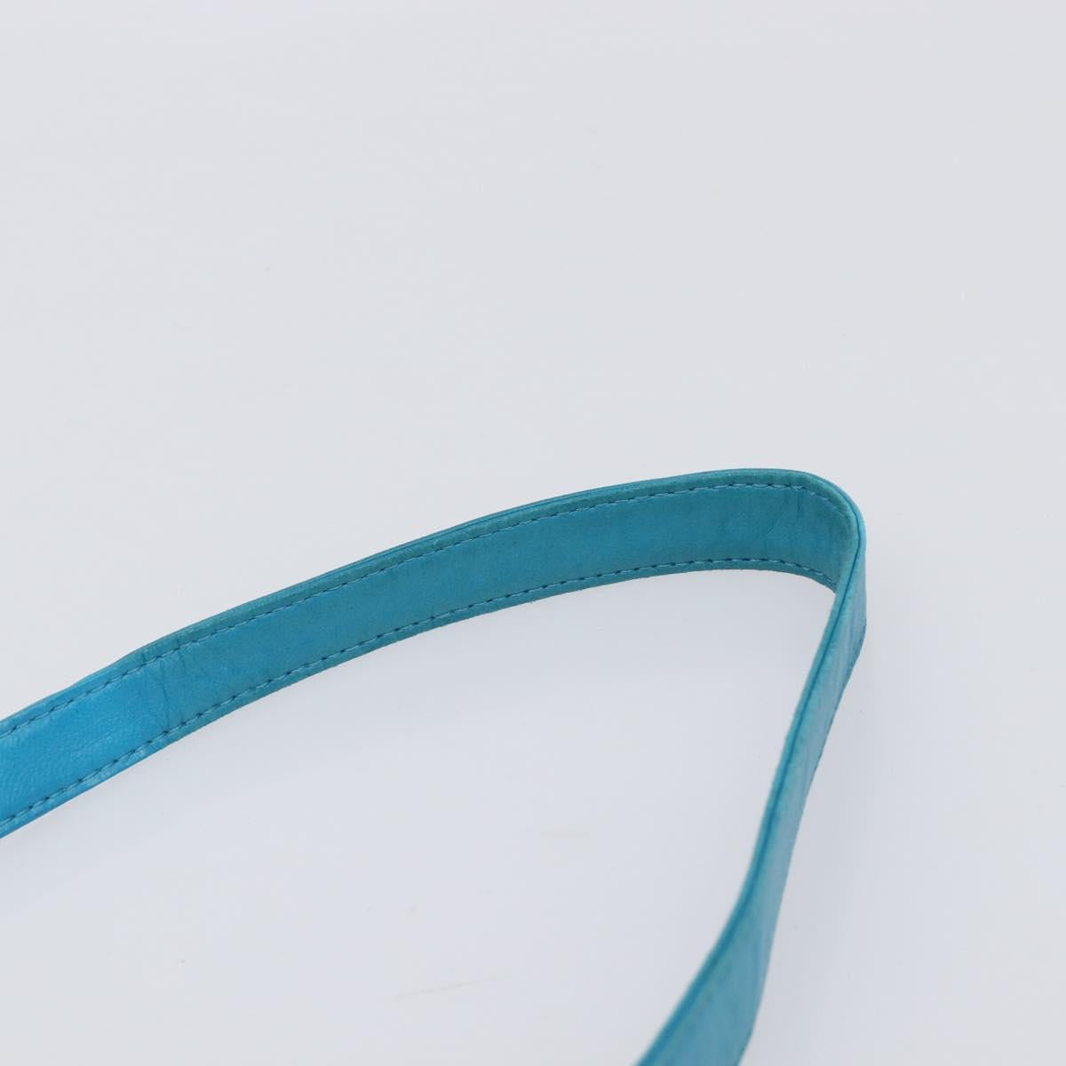 LOEWE Shoulder Bag Leather Light Blue Gold Auth 204760