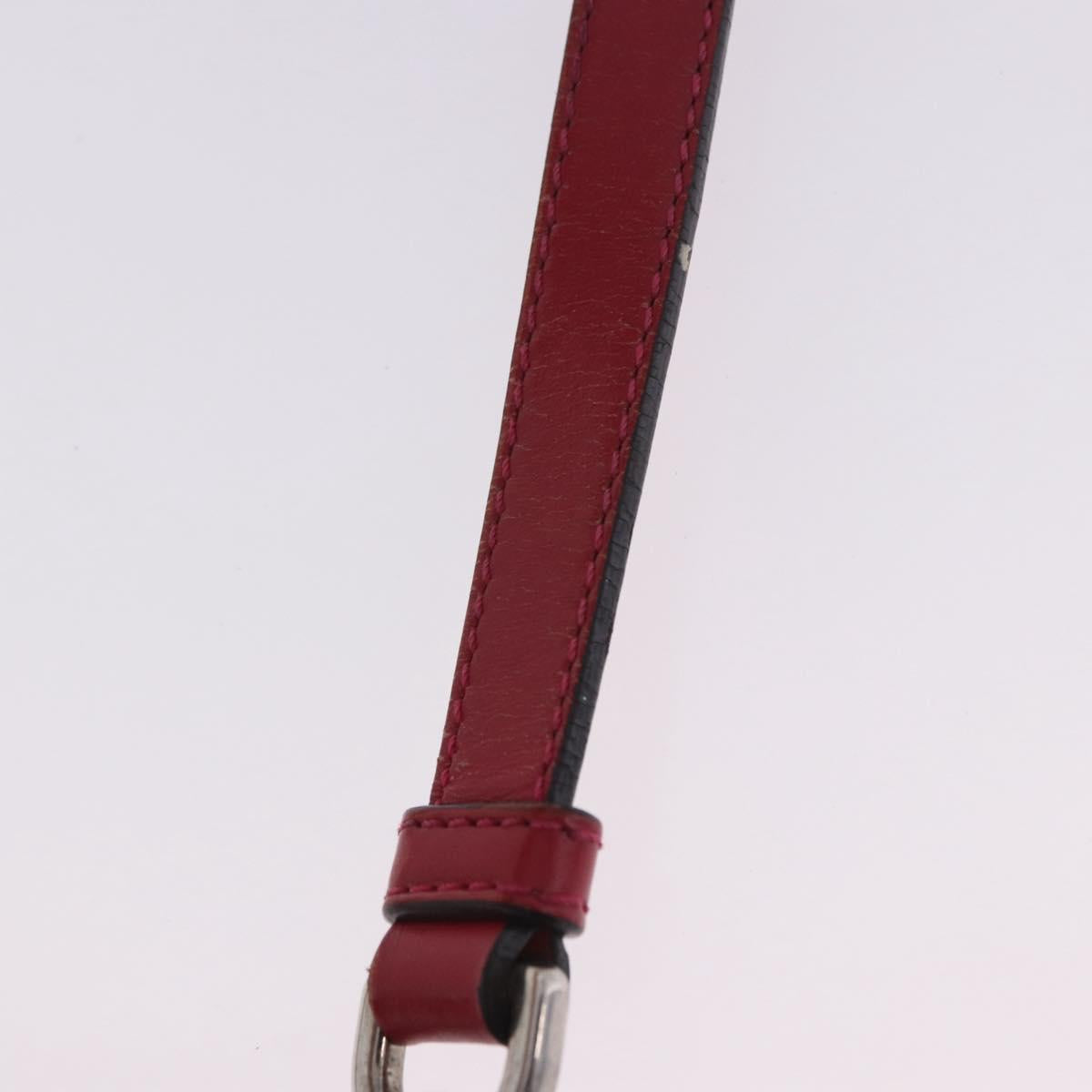 LOEWE Shoulder Bag Leather Red Gold Auth 204848