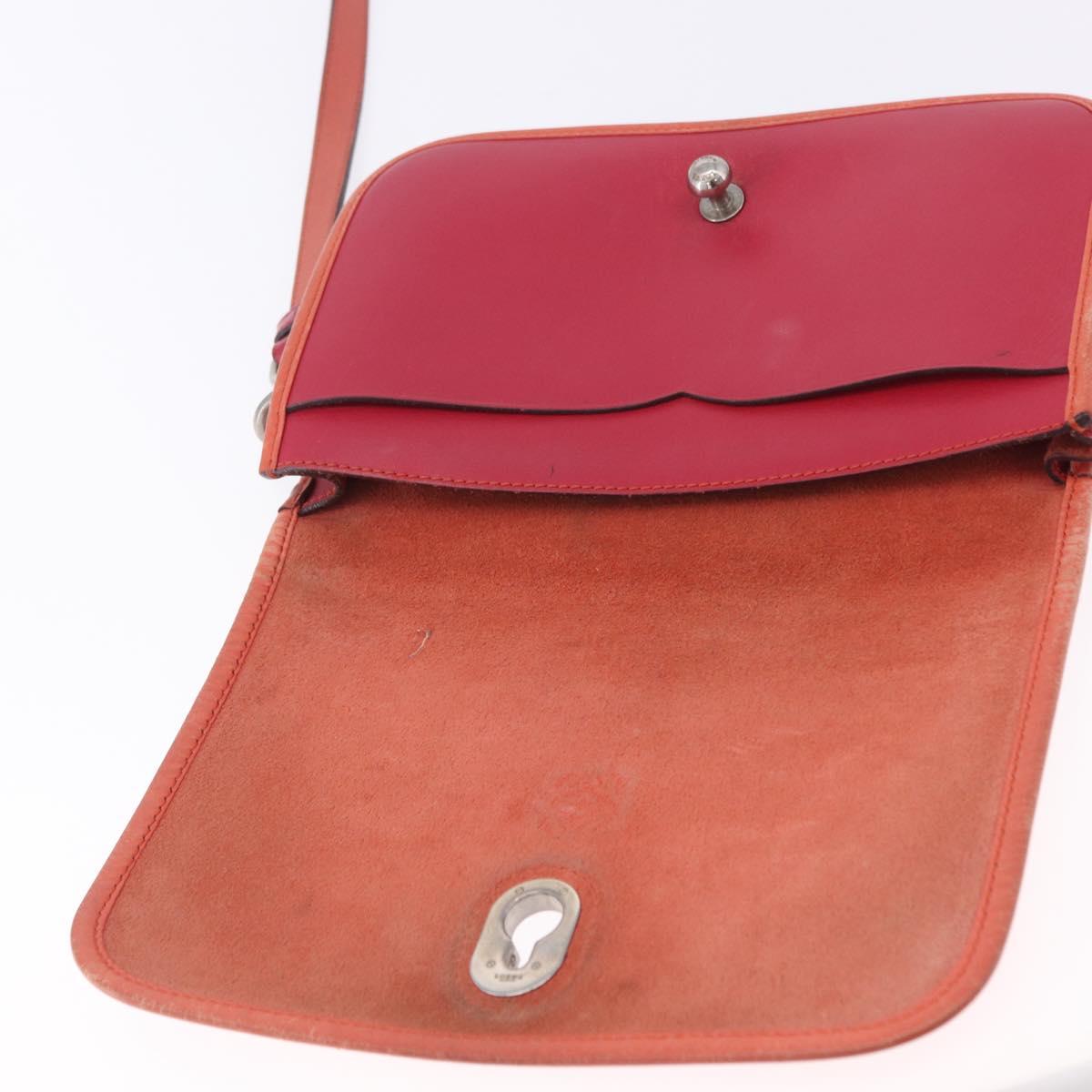 LOEWE Shoulder Bag Leather Red Gold Auth 204848