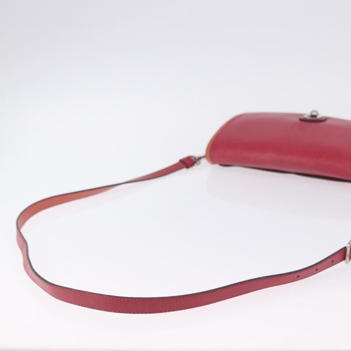 LOEWE Shoulder Bag Leather Red Gold Auth 204848