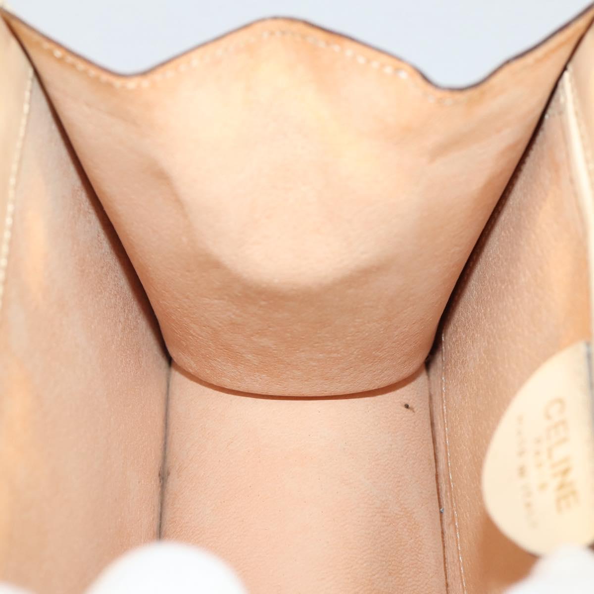 CELINE Hand Bag plastic Beige Gold Auth 204877