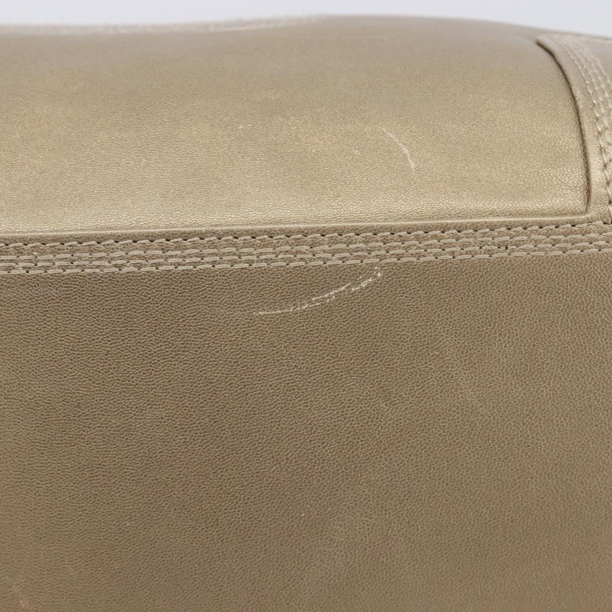 LOEWE Amazona 35 Hand Bag Leather Gold Auth 204893A