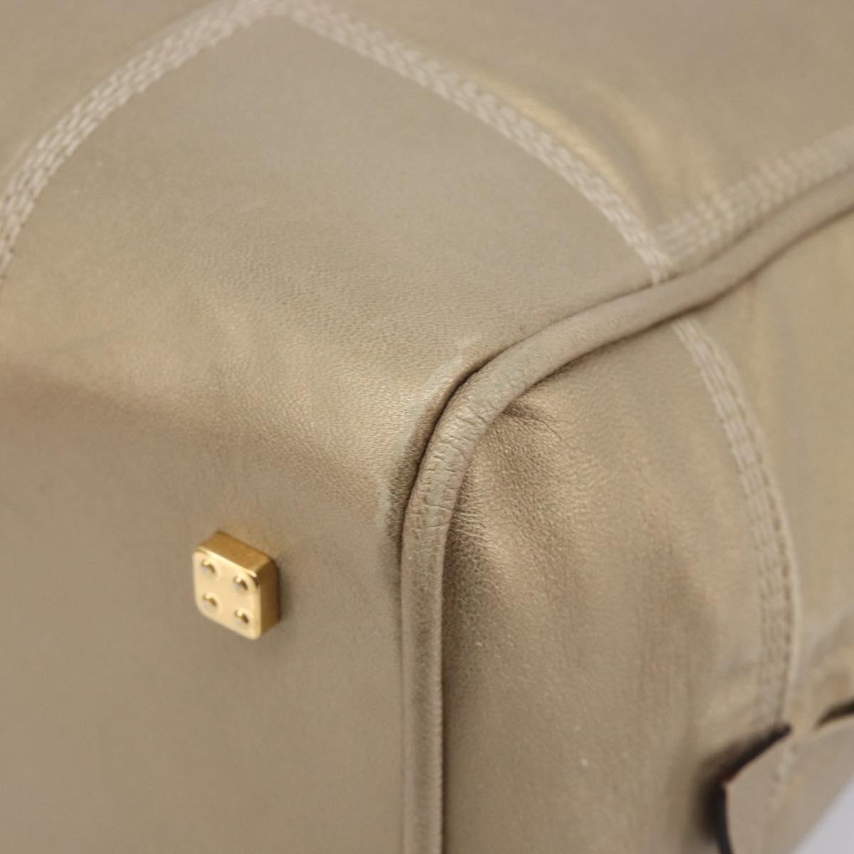 LOEWE Amazona 35 Hand Bag Leather Gold Auth 204893A
