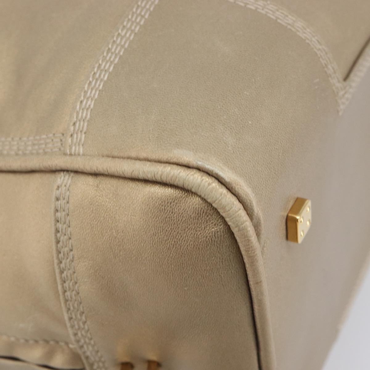 LOEWE Amazona 35 Hand Bag Leather Gold Auth 204893A