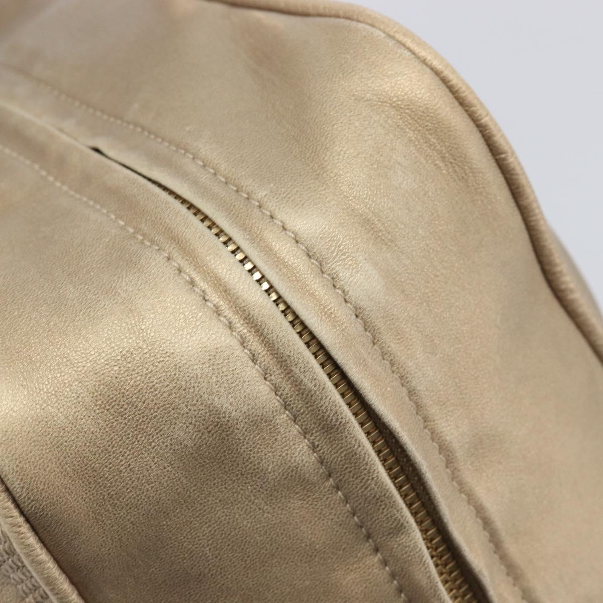 LOEWE Amazona 35 Hand Bag Leather Gold Auth 204893A