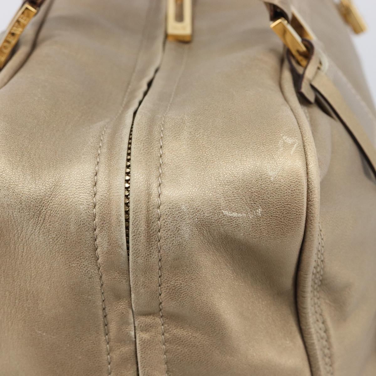 LOEWE Amazona 35 Hand Bag Leather Gold Auth 204893A