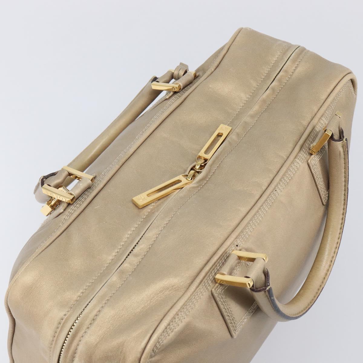 LOEWE Amazona 35 Hand Bag Leather Gold Auth 204893A