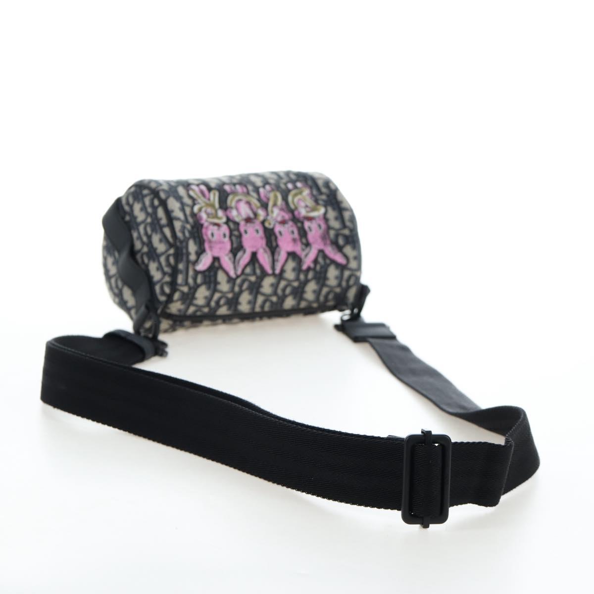 Christian Dior Trotter Canvas Shoulder Bag Navy Auth 204908SAM