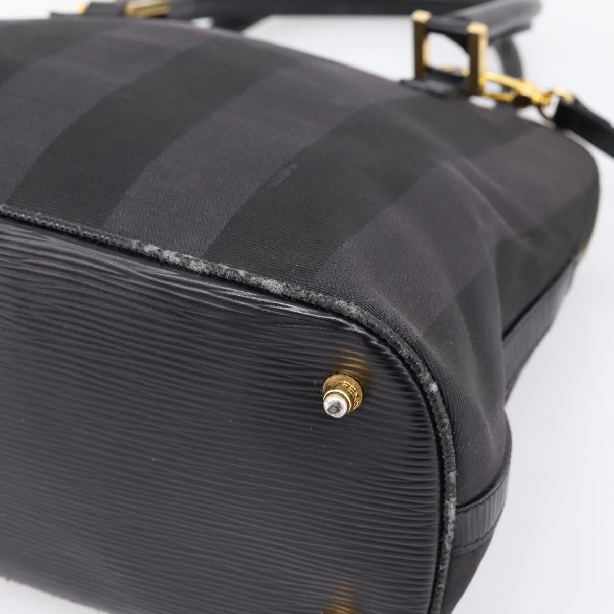 FENDI Pecan Canvas Hand Bag 2way Black Gold Auth 205145
