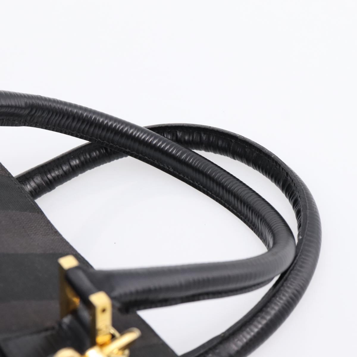 FENDI Pecan Canvas Hand Bag 2way Black Gold Auth 205145