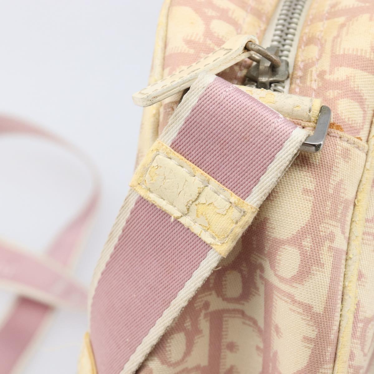 Christian Dior Trotter Canvas Shoulder Bag PVC Pink Silver Auth 205193
