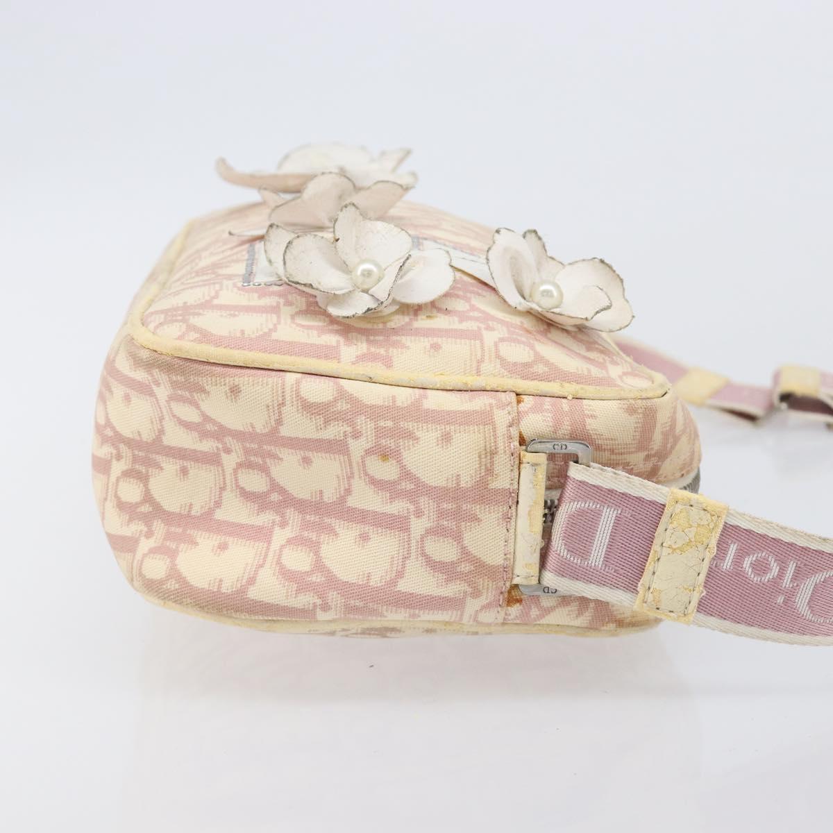 Christian Dior Trotter Canvas Shoulder Bag PVC Pink Silver Auth 205193