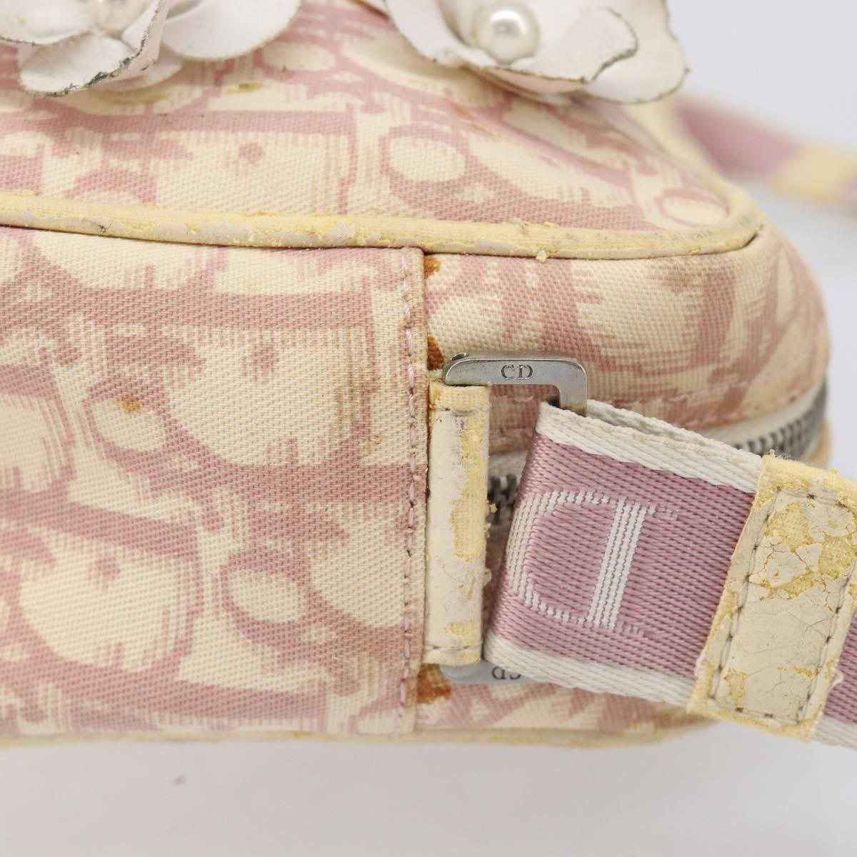 Christian Dior Trotter Canvas Shoulder Bag PVC Pink Silver Auth 205193