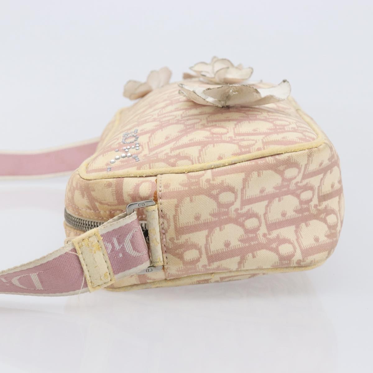 Christian Dior Trotter Canvas Shoulder Bag PVC Pink Silver Auth 205193