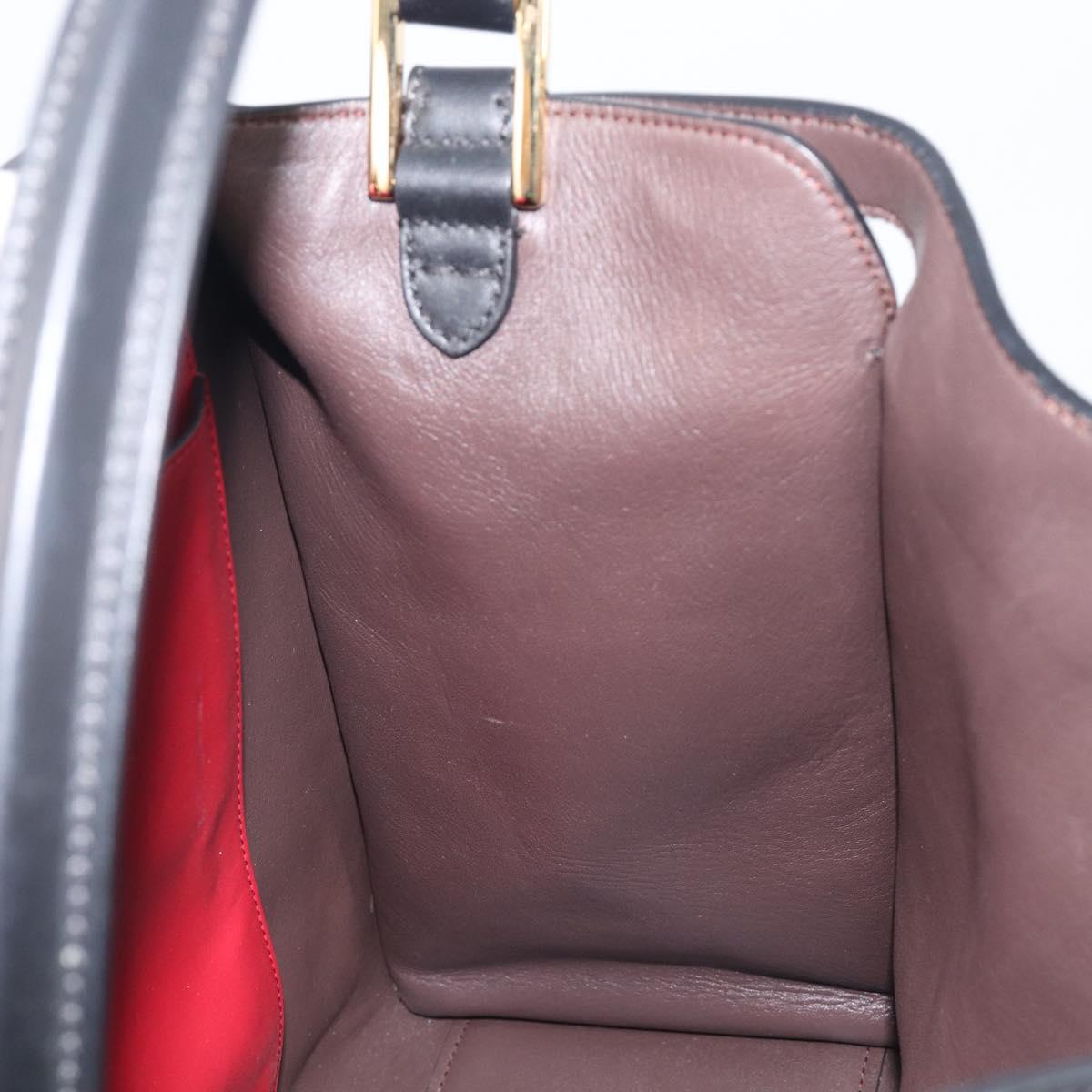 FENDI Peek A Boo X-Rite Hand Bag Leather Black Gold Auth 205424V