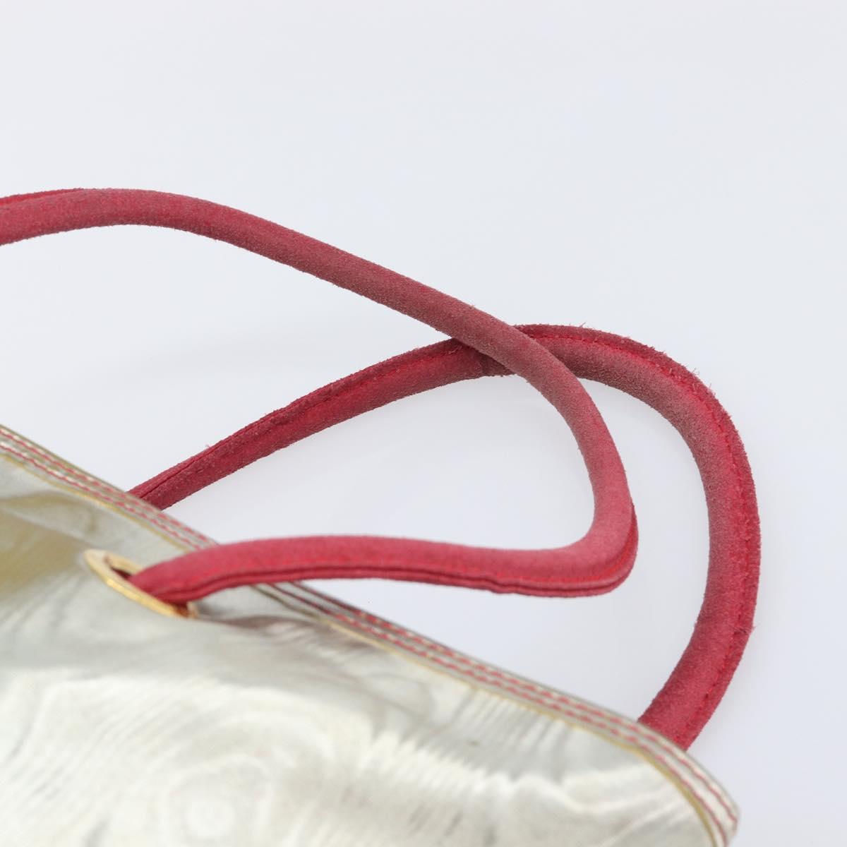 LOEWE Tote Bag Nylon Silver Gold Auth 206014