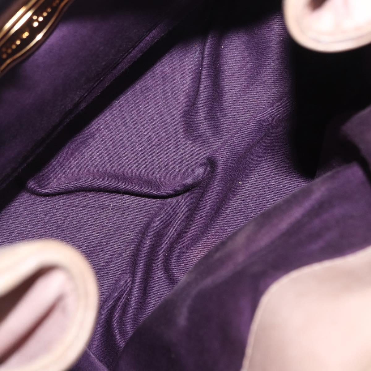 Miu Miu Hand Bag Vitellolux Pink Gold Auth 206250M