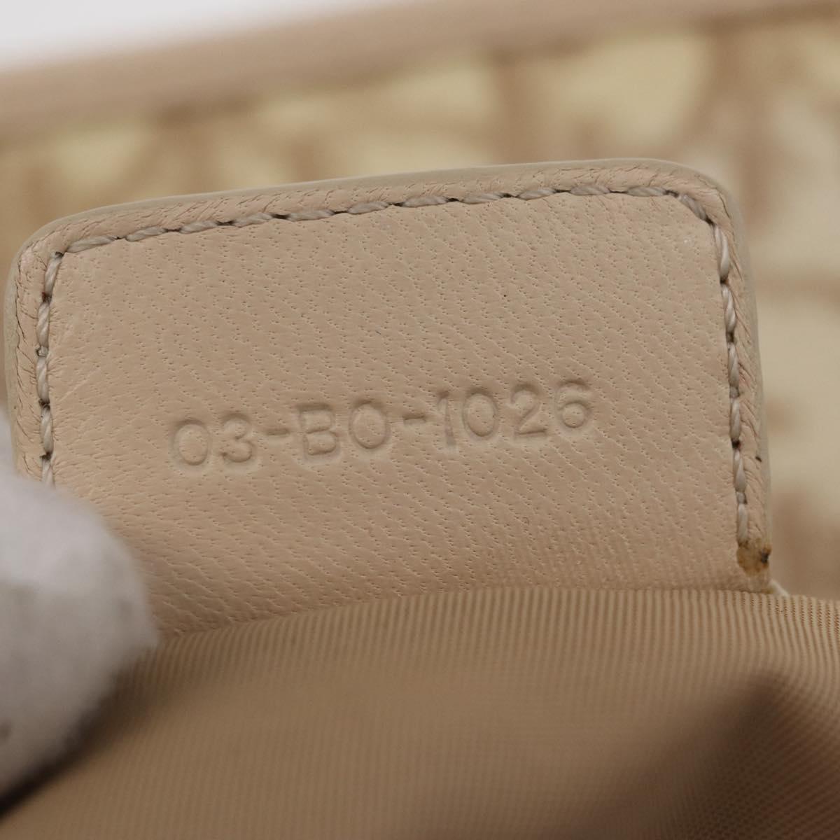 Christian Dior Trotter Canvas Chain Tote Bag PVC Ivory Silver Auth 206261A