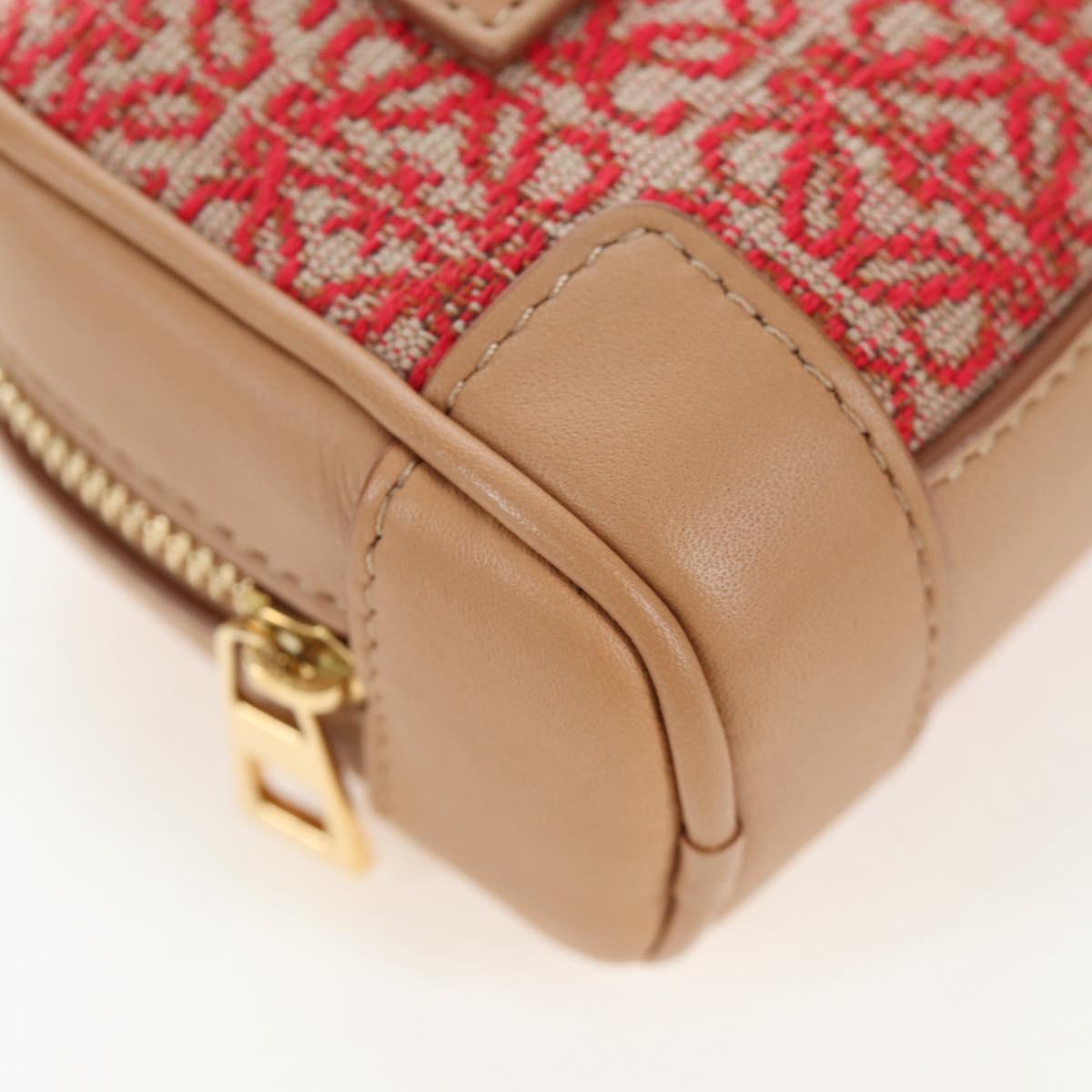 LOEWE Amazona Nano Shoulder Pouch Canvas 2way Beige Gold Auth 206378M