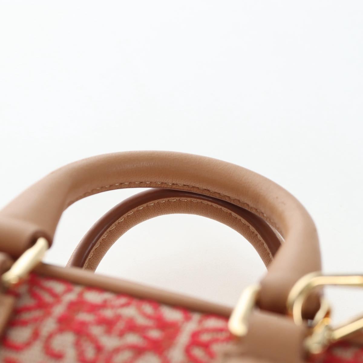 LOEWE Amazona Nano Shoulder Pouch Canvas 2way Beige Gold Auth 206378M