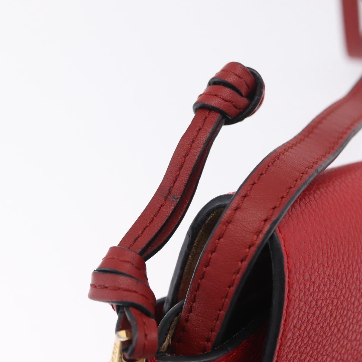 LOEWE Mini Gate Bag Shoulder Bag Leather Red Gold Auth 206501A