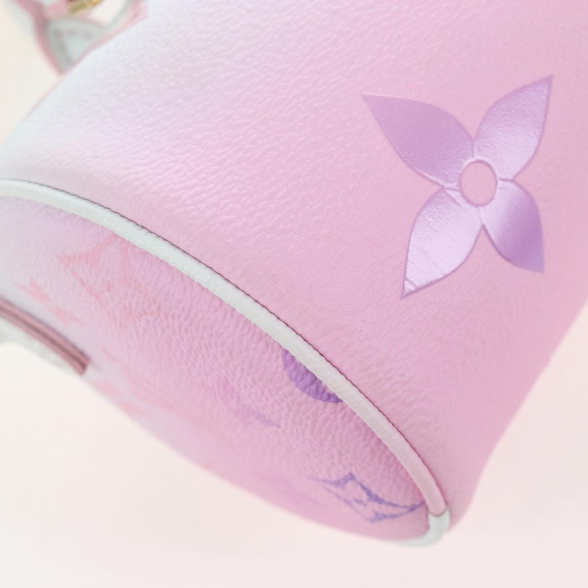 LOUIS VUITTON Spring In The City Papillon BB Bag M46078 LV Auth 206515SAM