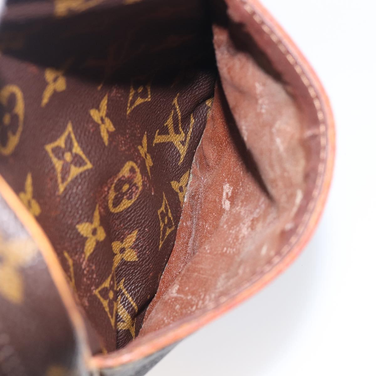 LOUIS VUITTON Monogram Danube Shoulder Bag M45266 LV Auth 206527