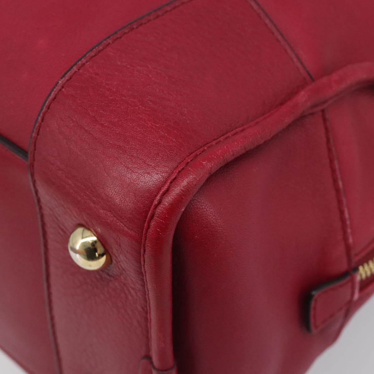 LOEWE Amazona 36 Hand Bag Leather Red Gold Auth 206725A