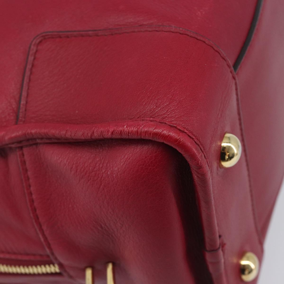 LOEWE Amazona 36 Hand Bag Leather Red Gold Auth 206725A