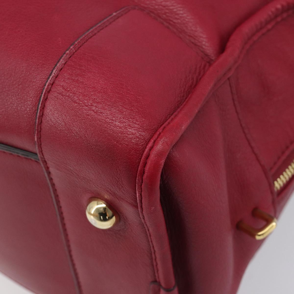 LOEWE Amazona 36 Hand Bag Leather Red Gold Auth 206725A