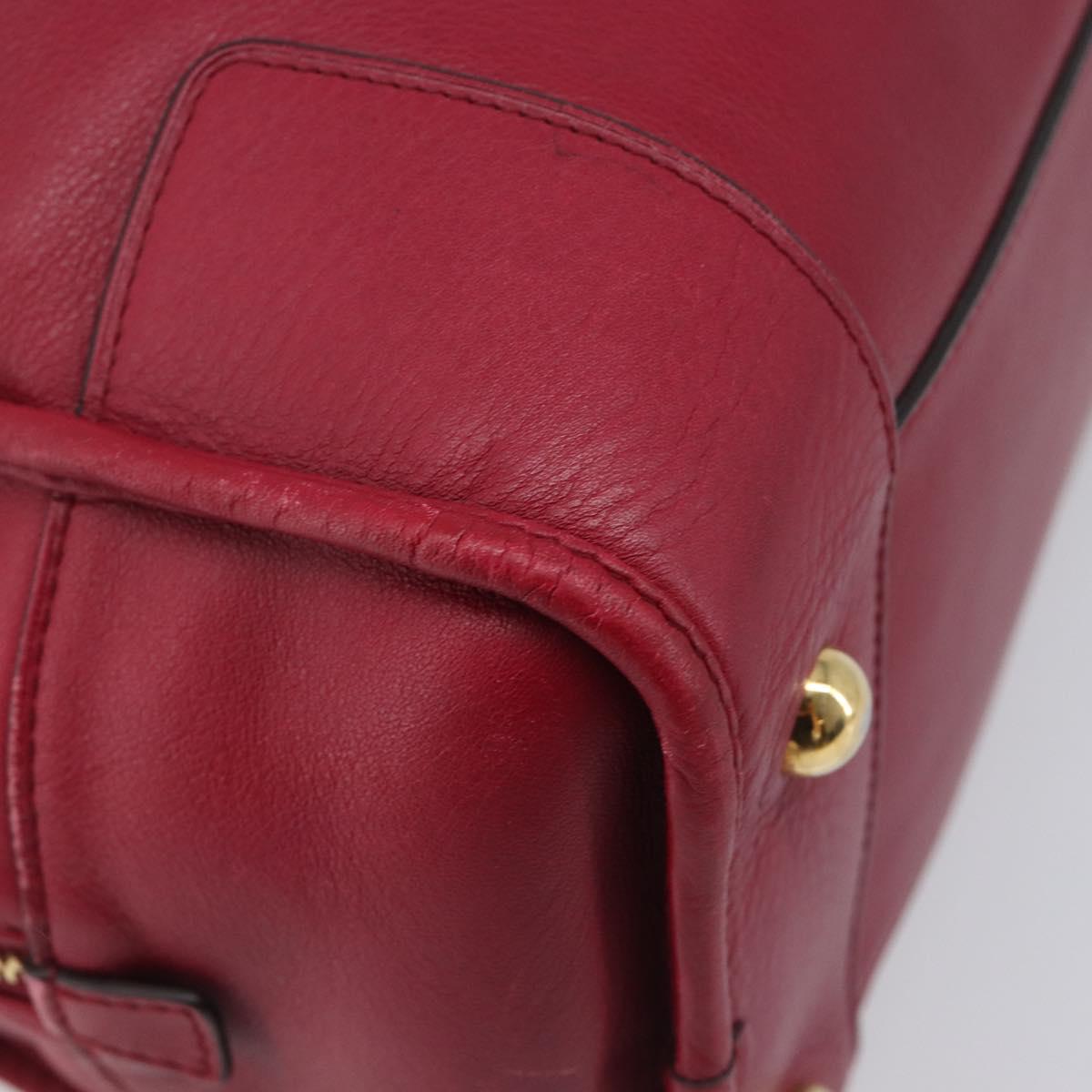 LOEWE Amazona 36 Hand Bag Leather Red Gold Auth 206725A