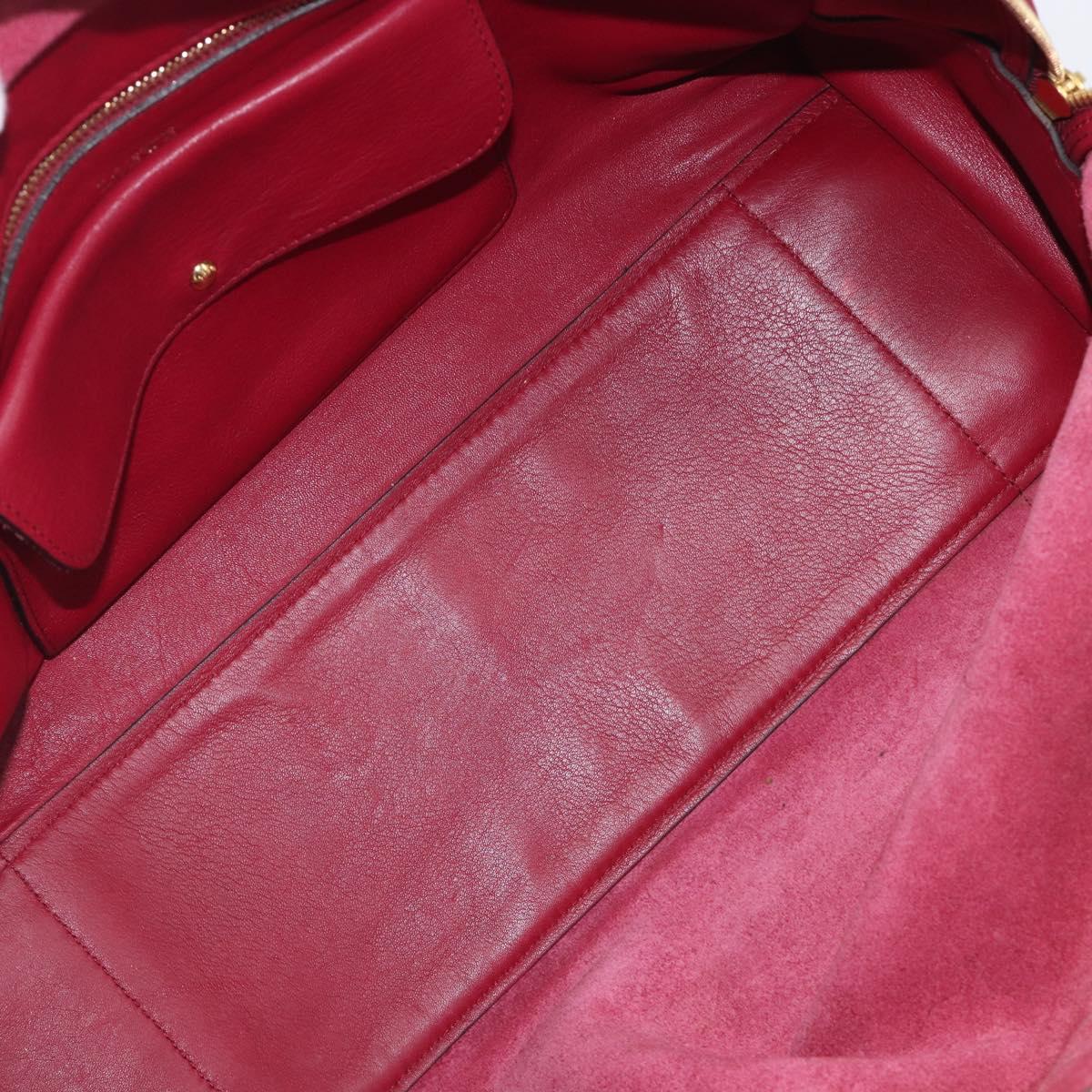 LOEWE Amazona 36 Hand Bag Leather Red Gold Auth 206725A
