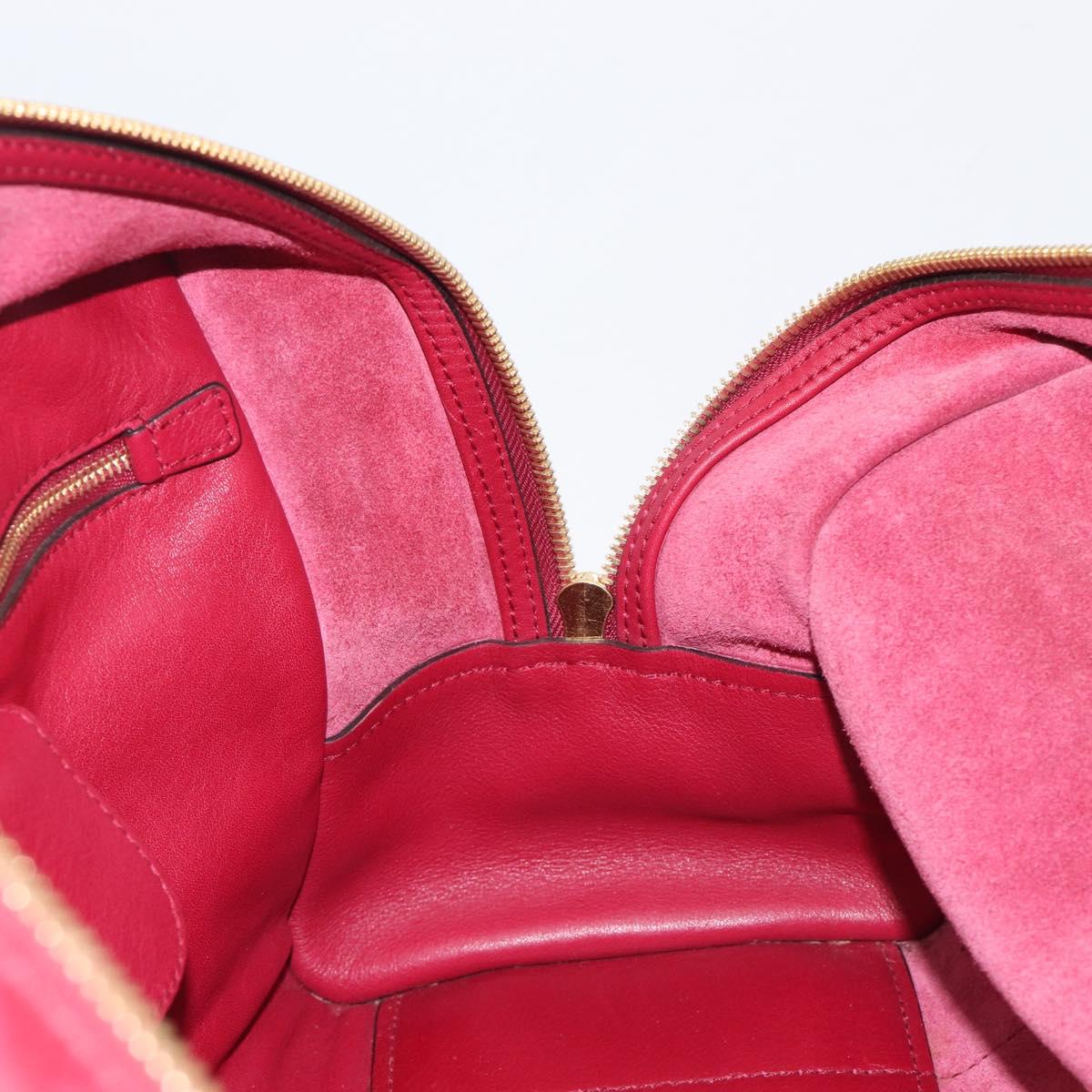 LOEWE Amazona 36 Hand Bag Leather Red Gold Auth 206725A