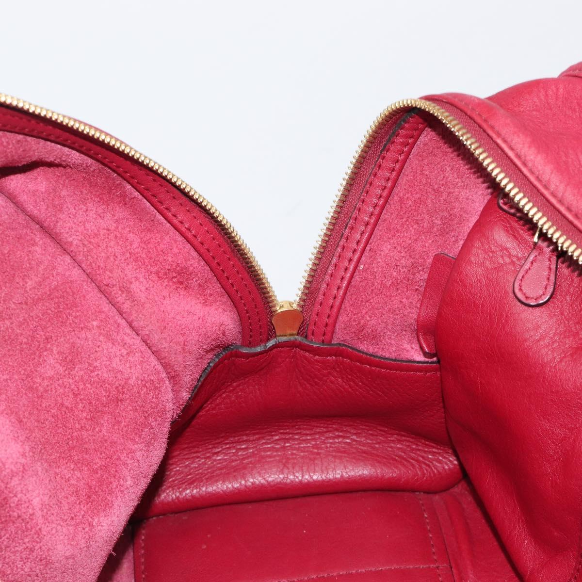 LOEWE Amazona 36 Hand Bag Leather Red Gold Auth 206725A